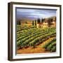 Villa in the Vinyards of Tuscany-Tim Howe-Framed Premium Giclee Print