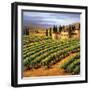 Villa in the Vinyards of Tuscany-Tim Howe-Framed Premium Giclee Print