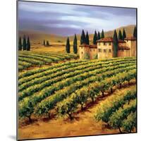 Villa in the Vinyards of Tuscany-Tim Howe-Mounted Premium Giclee Print