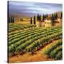 Villa in the Vinyards of Tuscany-Tim Howe-Stretched Canvas