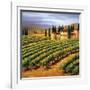 Villa in the Vinyards of Tuscany-Tim Howe-Framed Giclee Print