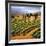 Villa in the Vinyards of Tuscany-Tim Howe-Framed Giclee Print