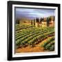 Villa in the Vinyards of Tuscany-Tim Howe-Framed Giclee Print