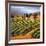 Villa in the Vinyards of Tuscany-Tim Howe-Framed Giclee Print