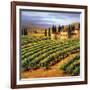 Villa in the Vinyards of Tuscany-Tim Howe-Framed Giclee Print