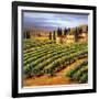 Villa in the Vinyards of Tuscany-Tim Howe-Framed Giclee Print