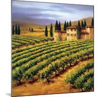 Villa in the Vinyards of Tuscany-Tim Howe-Mounted Giclee Print