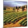 Villa in the Vinyards of Tuscany-Tim Howe-Mounted Giclee Print