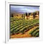 Villa in the Vinyards of Tuscany-Tim Howe-Framed Premium Giclee Print