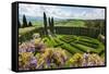 Villa La Foce Garden-Guido Cozzi-Framed Stretched Canvas