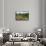 Villa La Foce Garden-Guido Cozzi-Framed Stretched Canvas displayed on a wall