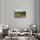 Villa La Foce Garden-Guido Cozzi-Stretched Canvas displayed on a wall