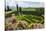 Villa La Foce Garden-Guido Cozzi-Stretched Canvas