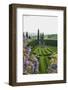 Villa La Foce Garden-Guido Cozzi-Framed Photographic Print