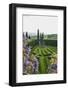 Villa La Foce Garden-Guido Cozzi-Framed Photographic Print