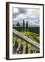 Villa La Foce Garden-Guido Cozzi-Framed Photographic Print