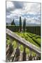 Villa La Foce Garden-Guido Cozzi-Mounted Photographic Print