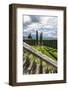 Villa La Foce Garden-Guido Cozzi-Framed Photographic Print