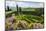 Villa La Foce Garden-Guido Cozzi-Mounted Photographic Print