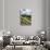 Villa La Foce Garden-Guido Cozzi-Stretched Canvas displayed on a wall