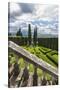 Villa La Foce Garden-Guido Cozzi-Stretched Canvas