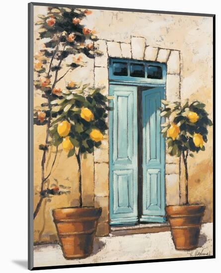 Villa Medici Side Door-Karsten Kirchner-Mounted Art Print