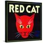 Villa Park, California, Red Cat Brand Citrus Label-Lantern Press-Stretched Canvas