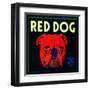 Villa Park, California, Red Dog Brand Citrus Label-Lantern Press-Framed Art Print