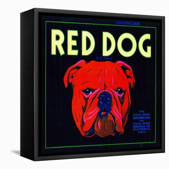 Villa Park, California, Red Dog Brand Citrus Label-Lantern Press-Framed Stretched Canvas