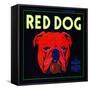 Villa Park, California, Red Dog Brand Citrus Label-Lantern Press-Framed Stretched Canvas