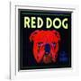 Villa Park, California, Red Dog Brand Citrus Label-Lantern Press-Framed Art Print