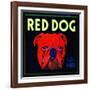 Villa Park, California, Red Dog Brand Citrus Label-Lantern Press-Framed Art Print