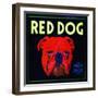 Villa Park, California, Red Dog Brand Citrus Label-Lantern Press-Framed Art Print