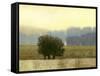 Villa Park I-Norman Wyatt Jr.-Framed Stretched Canvas