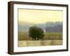 Villa Park I-Norman Wyatt Jr.-Framed Art Print