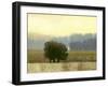 Villa Park I-Norman Wyatt Jr.-Framed Art Print