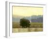 Villa Park I-Norman Wyatt Jr.-Framed Art Print