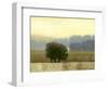 Villa Park I-Norman Wyatt Jr.-Framed Art Print