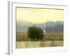 Villa Park I-Norman Wyatt Jr.-Framed Art Print