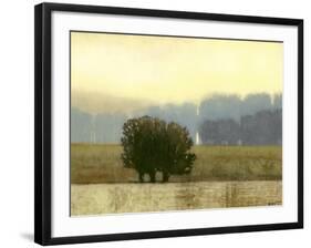 Villa Park I-Norman Wyatt Jr.-Framed Art Print