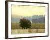 Villa Park I-Norman Wyatt Jr.-Framed Art Print