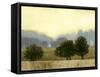 Villa Park II-Norman Wyatt Jr.-Framed Stretched Canvas