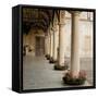 Villa Portico No. 1-Alan Blaustein-Framed Stretched Canvas