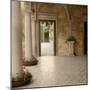 Villa Portico No. 2-Alan Blaustein-Mounted Photographic Print