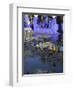 Villa Reflexion, Jardin Majorelle and Museum of Islamic Art, Marrakech, Morocco-Walter Bibikow-Framed Photographic Print