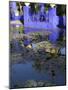 Villa Reflexion, Jardin Majorelle and Museum of Islamic Art, Marrakech, Morocco-Walter Bibikow-Mounted Photographic Print