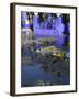 Villa Reflexion, Jardin Majorelle and Museum of Islamic Art, Marrakech, Morocco-Walter Bibikow-Framed Photographic Print