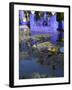 Villa Reflexion, Jardin Majorelle and Museum of Islamic Art, Marrakech, Morocco-Walter Bibikow-Framed Photographic Print