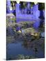 Villa Reflexion, Jardin Majorelle and Museum of Islamic Art, Marrakech, Morocco-Walter Bibikow-Mounted Photographic Print