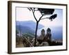 Villa Rufolo, Ravello, Amalfi Coast, Italy-Demetrio Carrasco-Framed Photographic Print